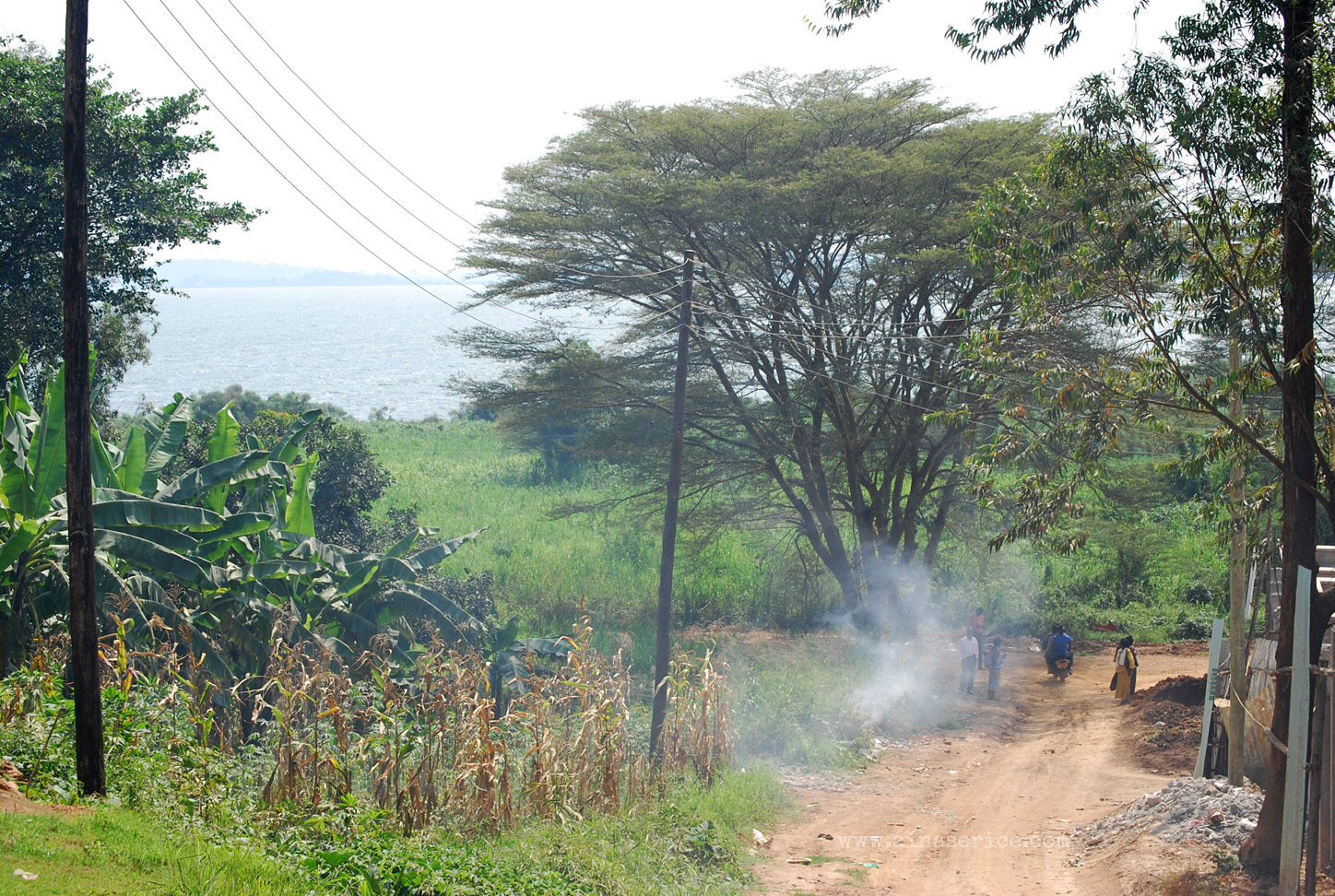 Dust-red trail down to Lake Victoria near Port Bell