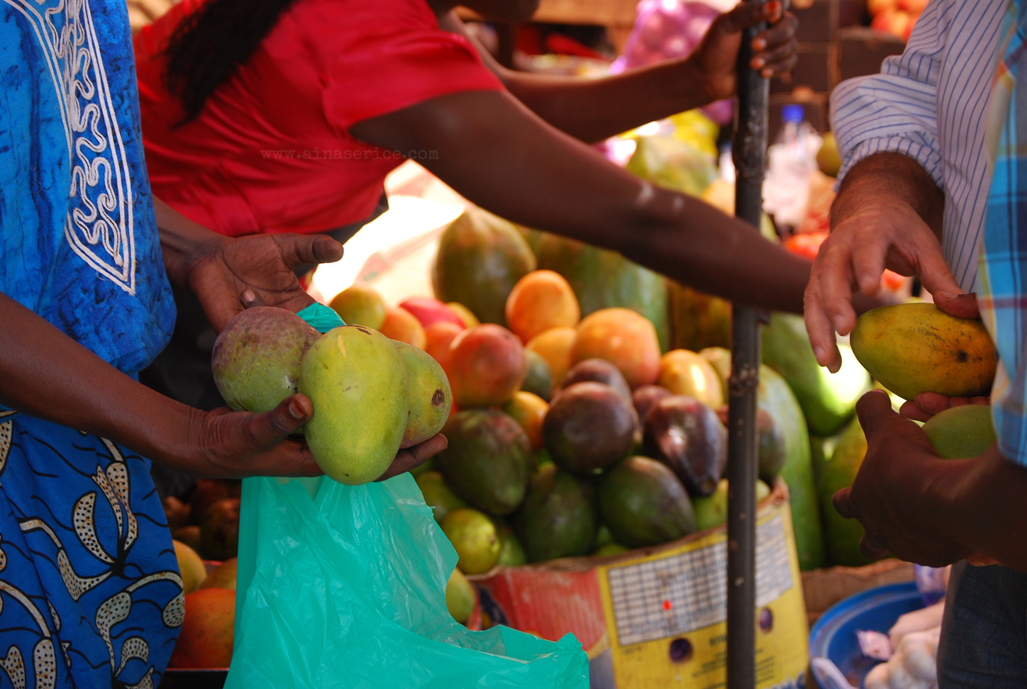 Mangoes-a-buying in Nakasero market, Kampala
